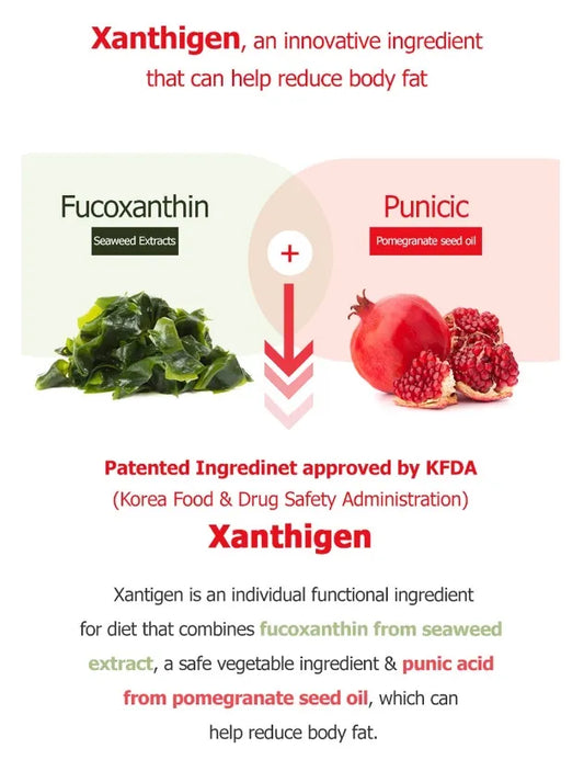 BB Lab Supliment accelerare metabolism si slabire Xanthigen S 600mg*14 for 2 weeks
