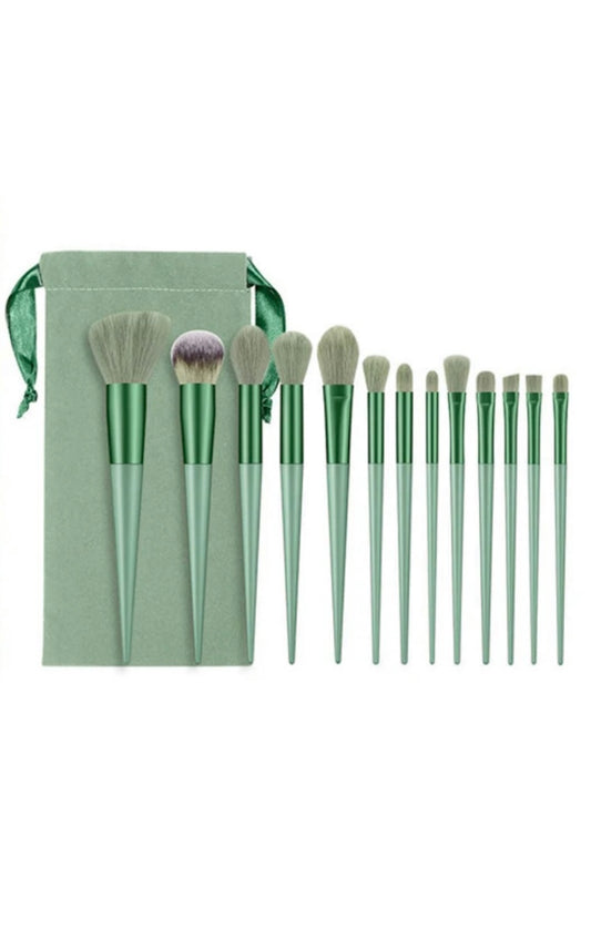 Trusa de Pensule. Pensule Eco-Set 13 buc