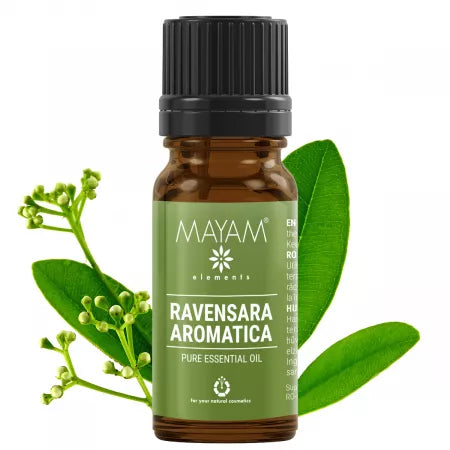 Aromatica Ulei esential de Ravensara, M-1163, 10 ml, Mayam