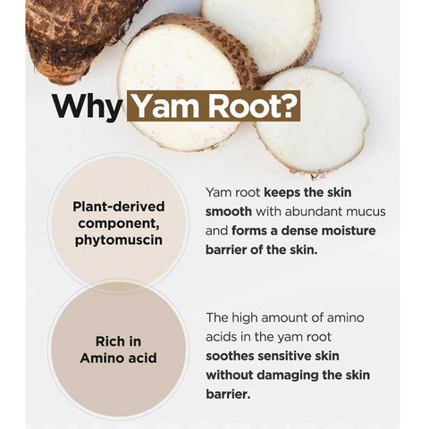 Isntree Cleansing Milk with Yam Root, 220 ml
